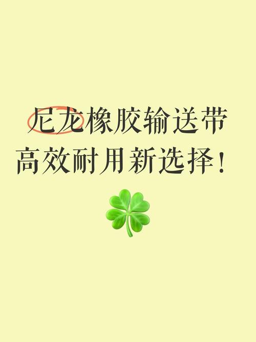 我們專注于提供優質的尼龍帆布輸送帶產品,滿足您的各種需求